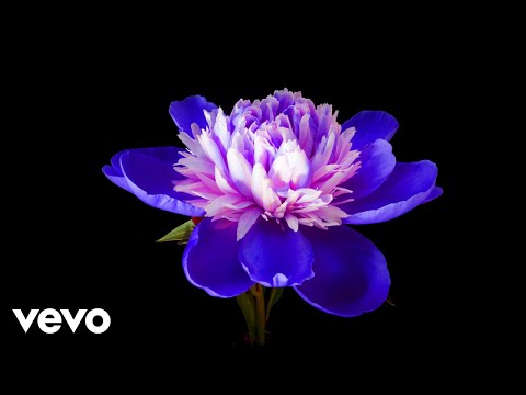 Joe Hisaishi – My Neighbor Totoro Sound Book (12" LP)