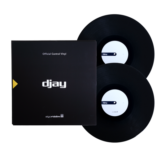 djay Pro 12" Control Vinyl Pair